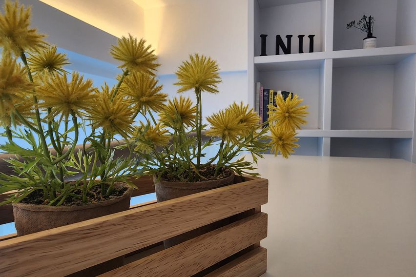 창원도심 생활편리