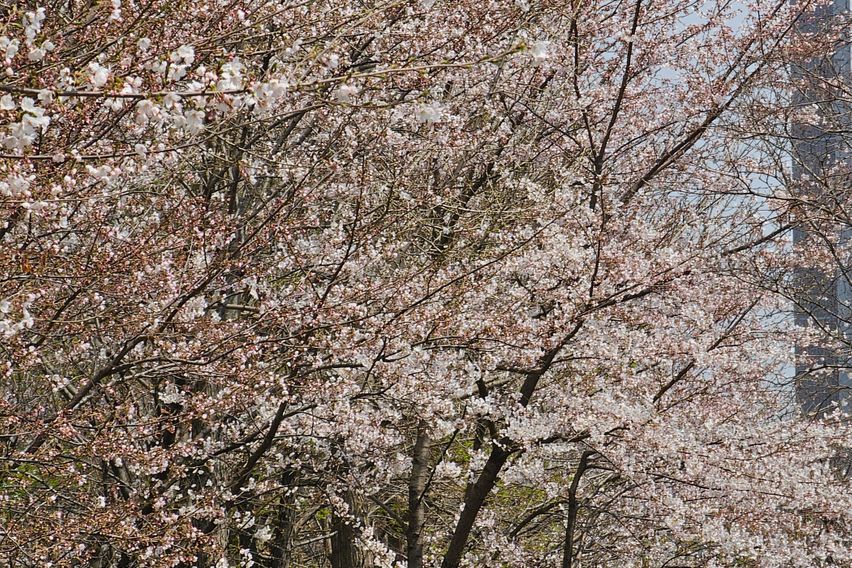 특가 영종도 인천공항  19번째 이미지