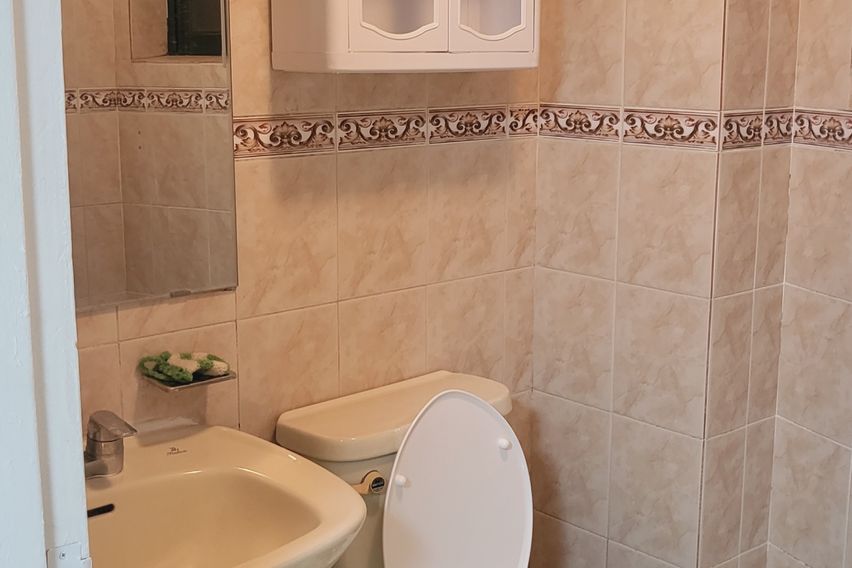 한남대, 성심당 등