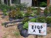 강릉안골황토빌리지(3) 2번째 이미지