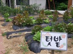 강릉안골황토빌리지(3) 2번째 이미지
