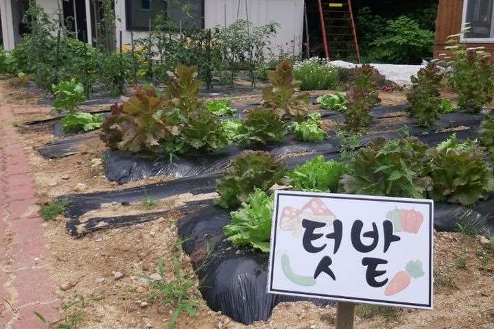 강릉안골황토빌리지(3) 2번째 이미지