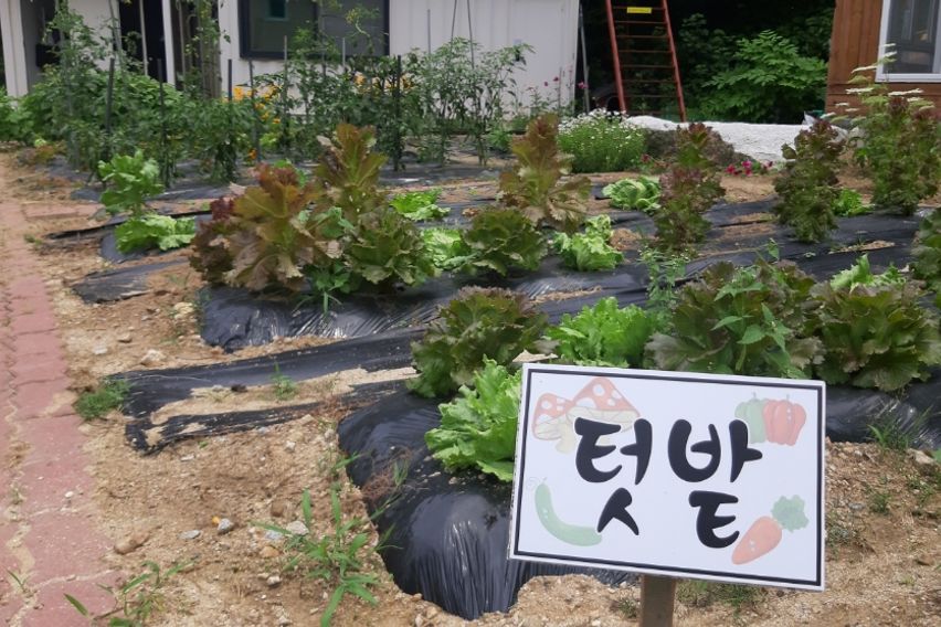 강릉안골황토빌리지(3) 2번째 이미지