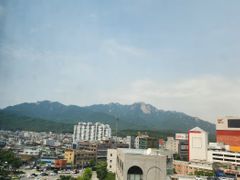 노원 방학 k5 13번째 이미지