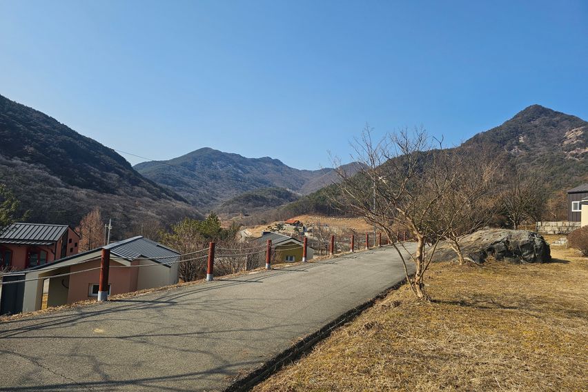 레몬밤 7번째 이미지