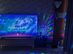 40평독채애견동반촌캉스 4번째 이미지