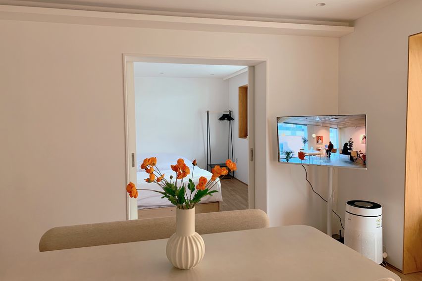 망원한강공원 쓰리룸🩵