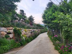 레파로(회복)의 집 15번째 이미지