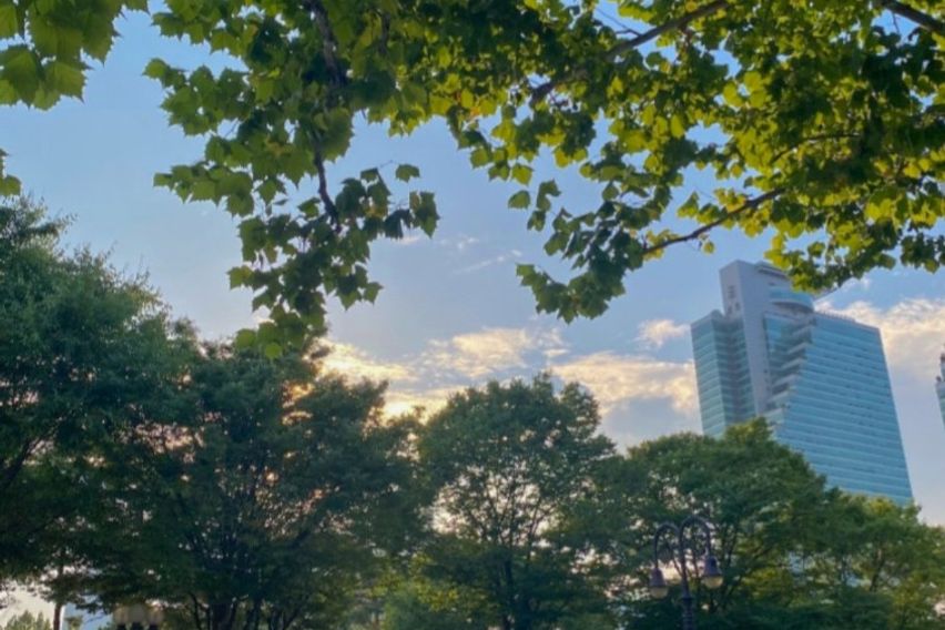 평촌역2분주차무료