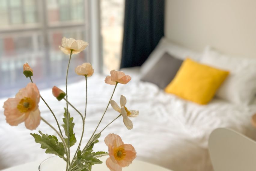 오픈특가🧡강남역초역세