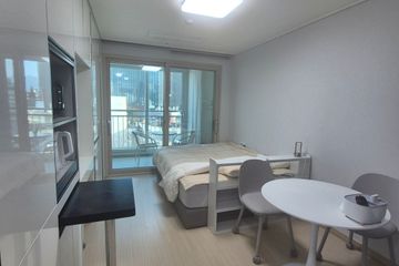 춘천 명동시청도청 3분