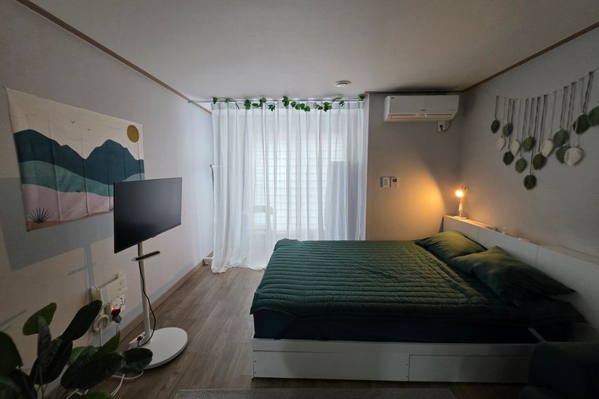 재방문 1위 강릉 그린 2번째 이미지