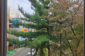 정남향 공원뷰