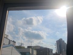 305호 19번째 이미지