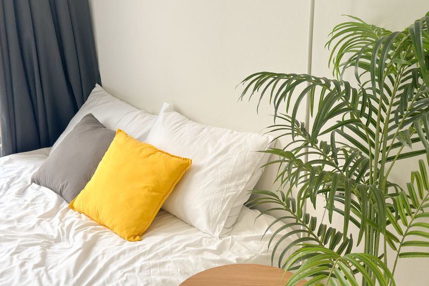 오픈특가🧡강남역초역세