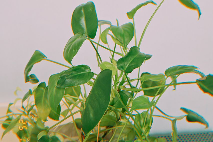 5호선개화산 그린하우스