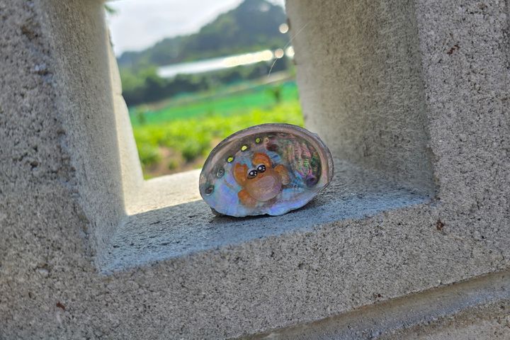 Yangyang Nammae Oegatjip Guesthouse 17th image