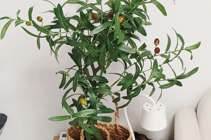 도농역♦️깔끔👍아늑한🏡 3번째 이미지