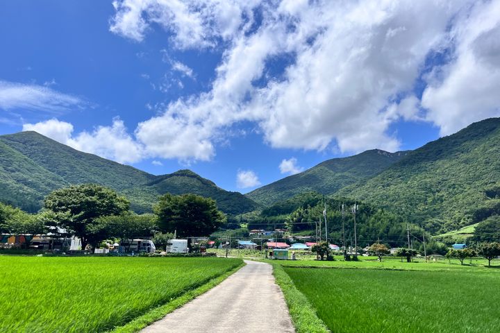 독일마을 근처 시골집🏠 14번째 이미지