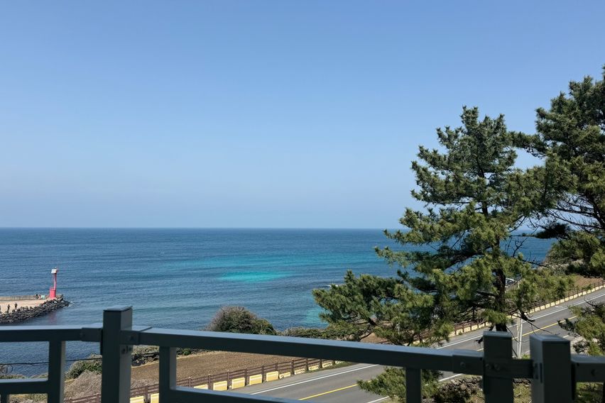 [A31]애월/성수기