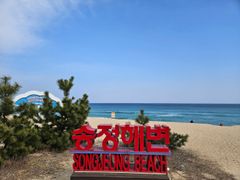 Accommodation next to Songjeong Beach Pine Fo 9th image