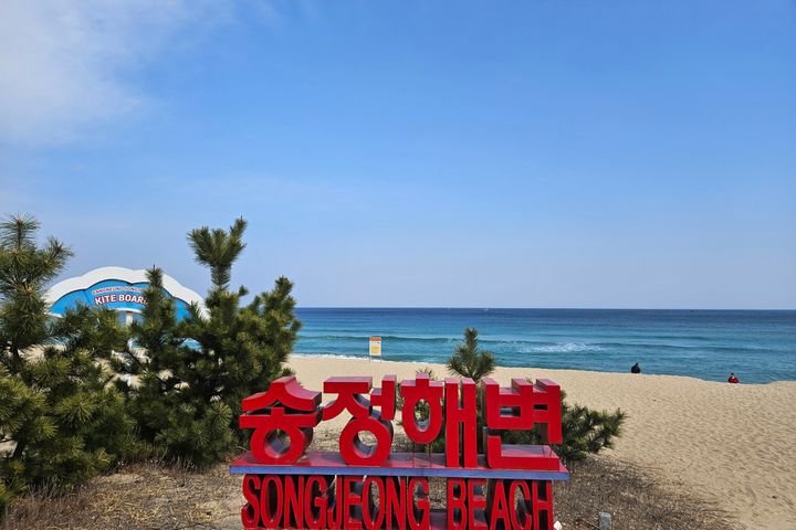 Accommodation next to Songjeong Beach Pine Fo 9th image