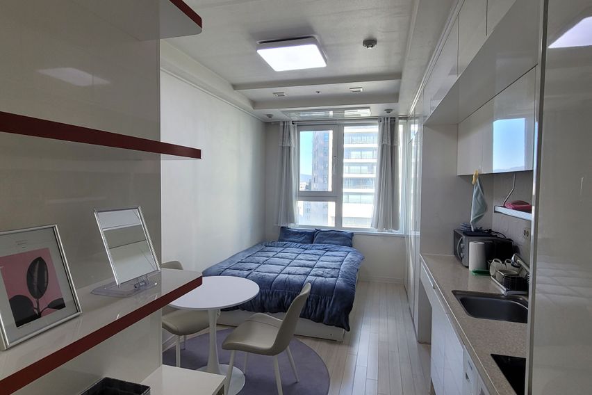 보금자리🌻 동대구역인근