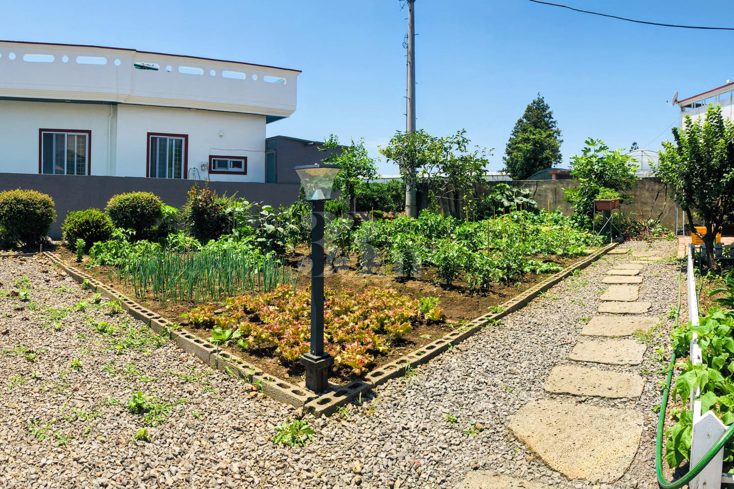 Seogwipo Camellia Flower Hometown House 10th image