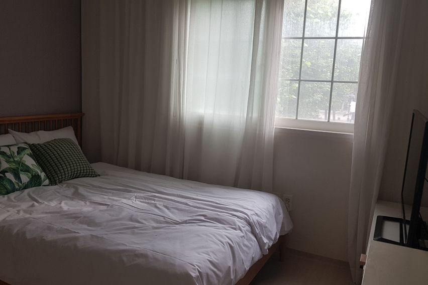 일산병원●백석●호수공원 7번째 이미지