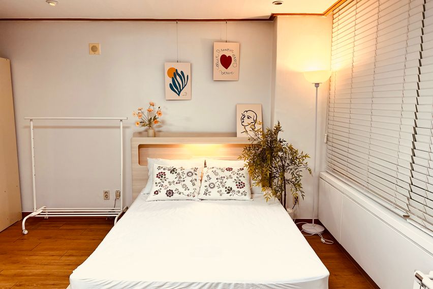 특가❤️신촌이대서강 1번째 이미지