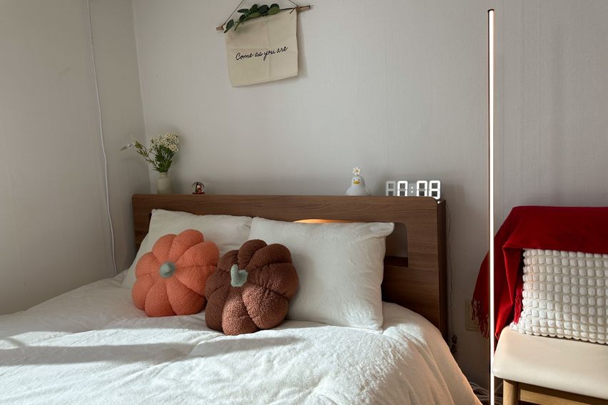 합정역@홍대🌈뷰맛집