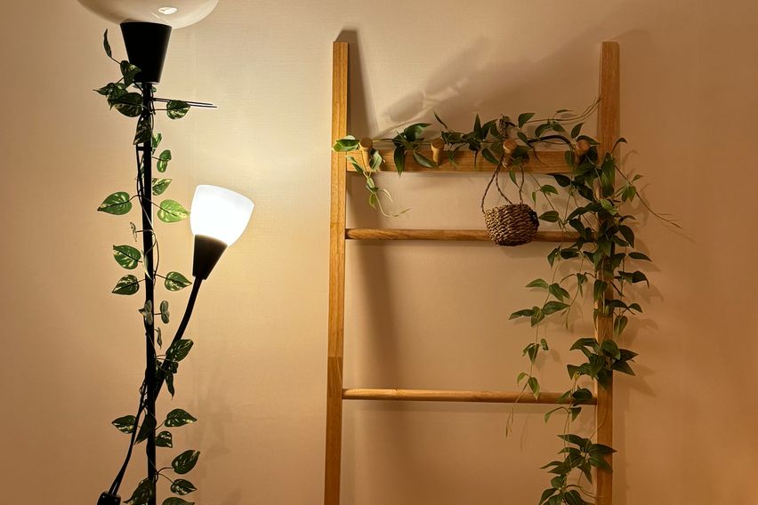 ♥️호수뷰 예쁜집할인1