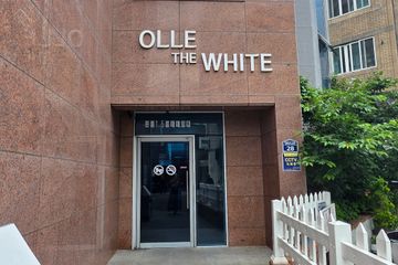 Seogwipo ♡ Olle Market ♡ Fully Furnished