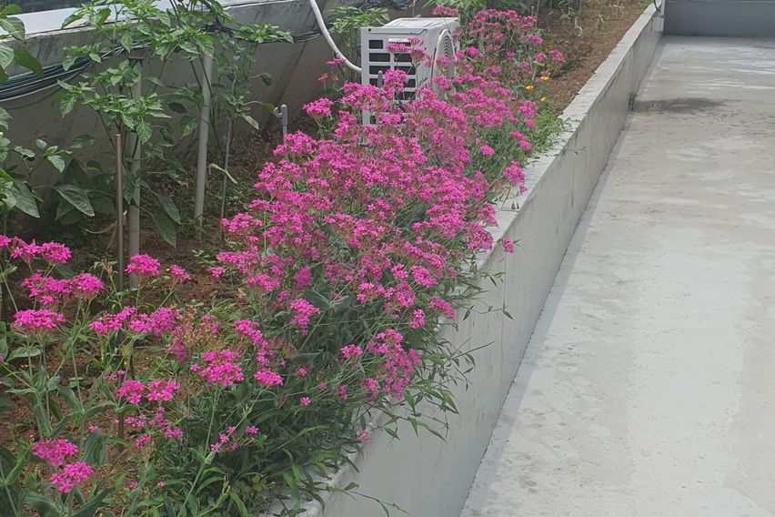 현대 스텐다드룸 3번째 이미지