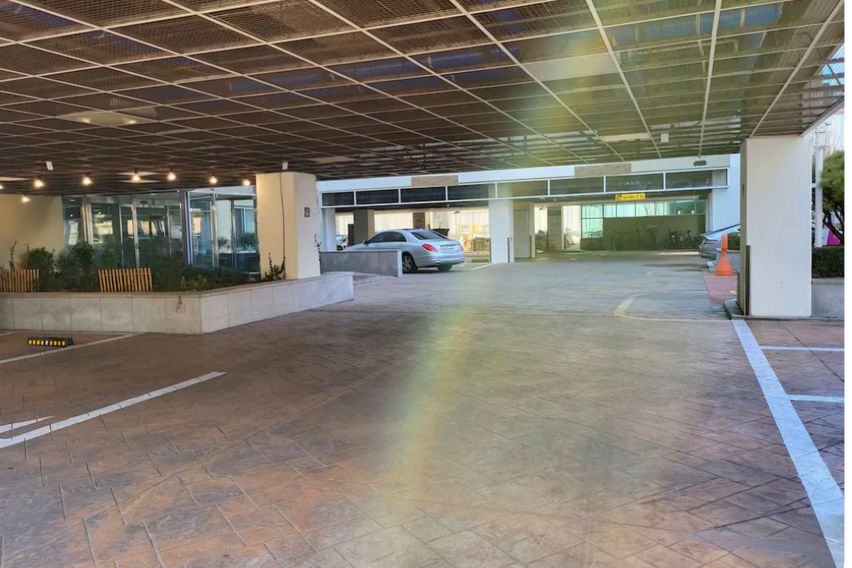 벚꽃양재카페공원 바로앞 3번째 이미지