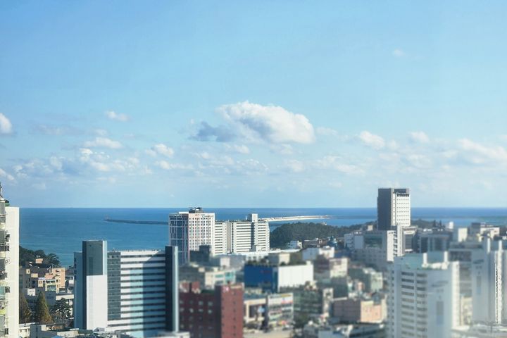 #동해 신비아파트성수기 11번째 이미지