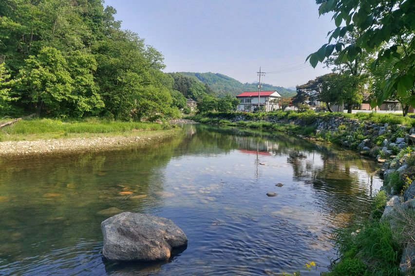 양평 사랑이네 14번째 이미지