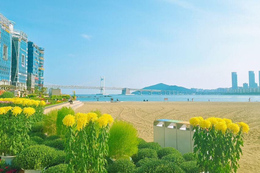 광안리오션뷰,레몬스테이