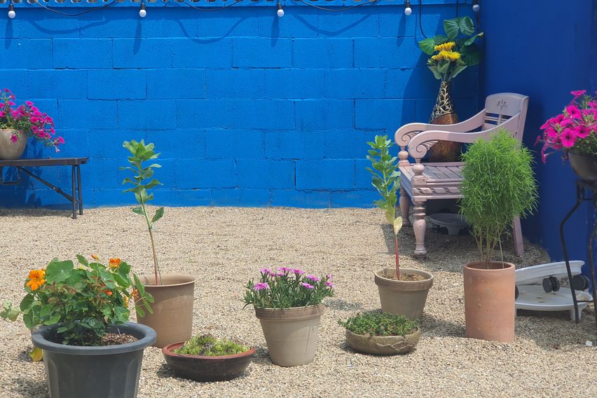 포항 연오랑세오녀해변가