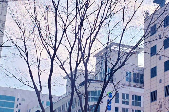 일산최고 8번째 이미지