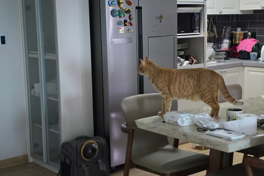 잠 만 주무실 쉐어 하