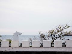 공항근처무지개해안도로2 16번째 이미지