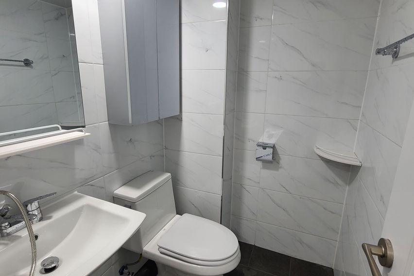 천안백석단국대 투베이