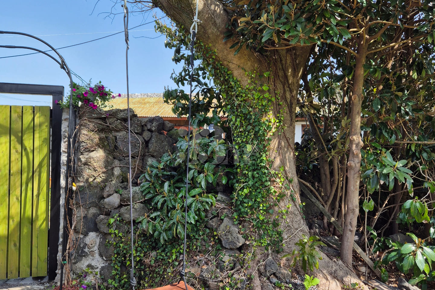 Stone house with a yard in the Jeju countrysi 10th image