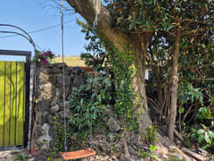 Stone house with a yard in the Jeju countrysi 10th image