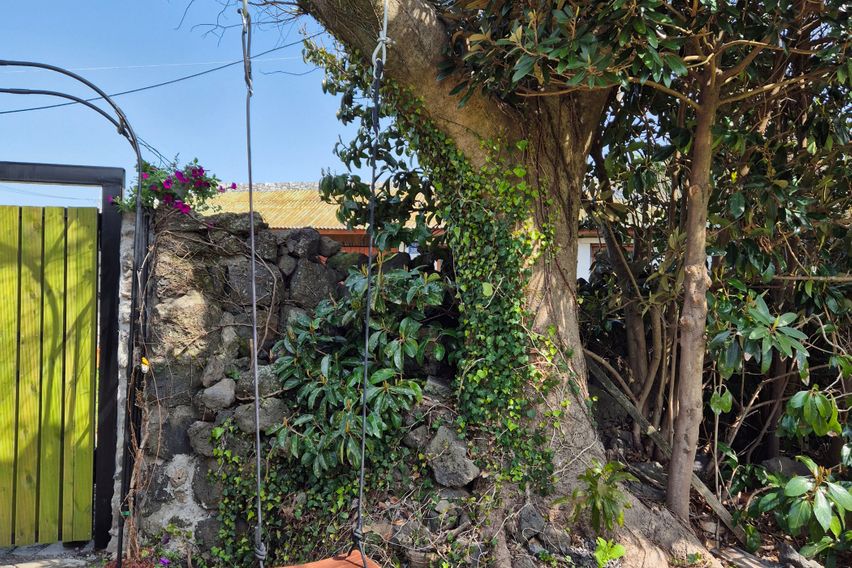 제주시골 마당있는 돌집