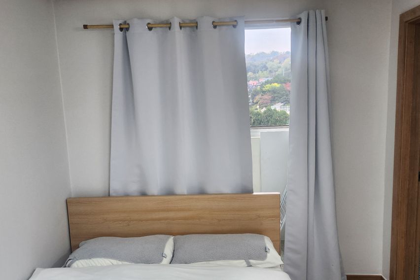 부산갈매기 501 특가