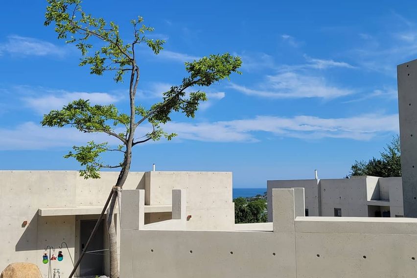 [영덕]오르또 월풀 2 4번째 이미지