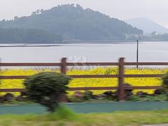 [Jeju] The Beachside Vibe of Ilchulbong 12th image