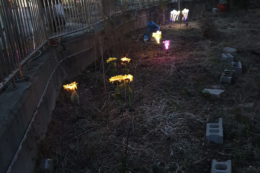 파주 연풍리 꽃동401 12번째 이미지